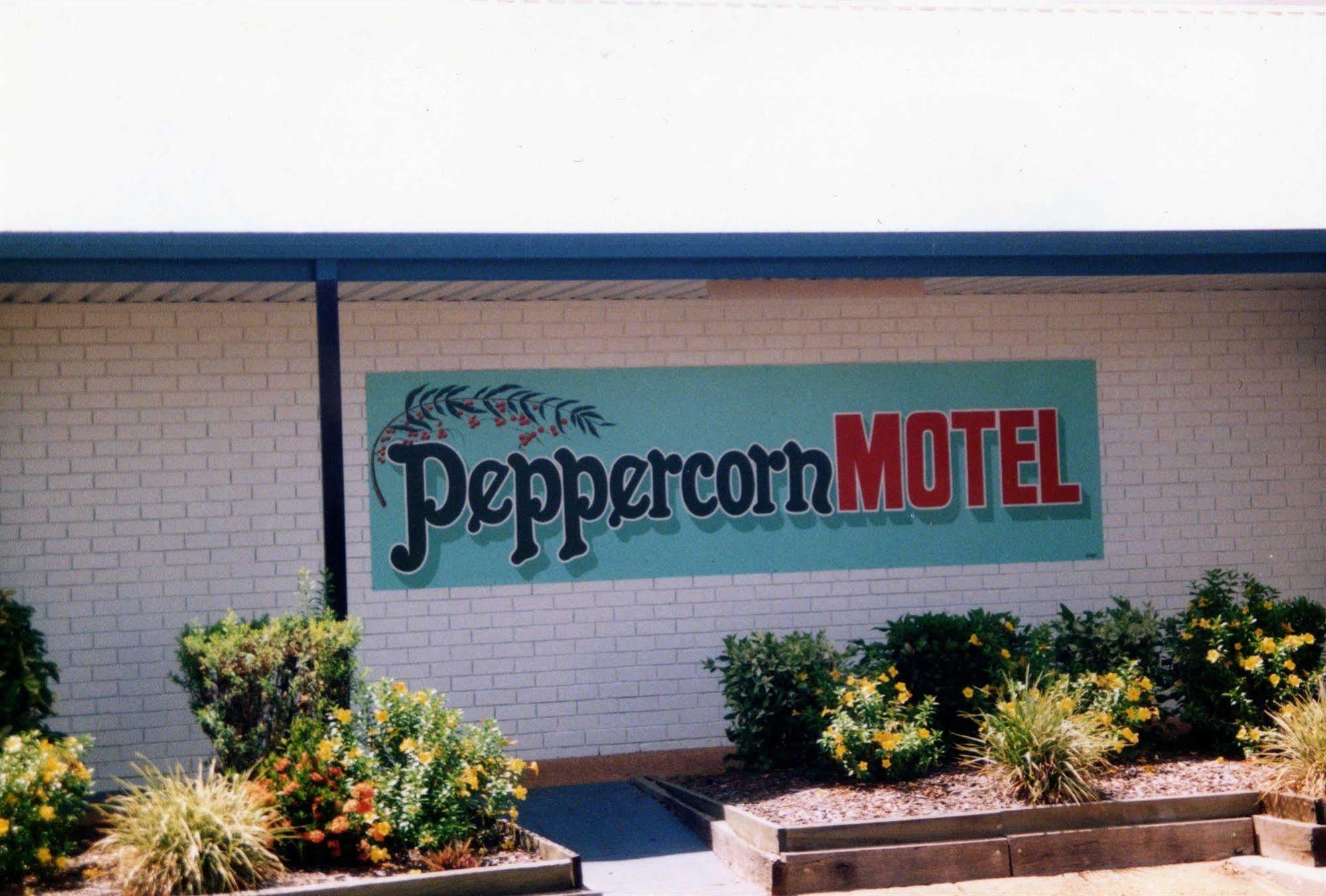 Peppercorn Motel Clermont Ngoại thất bức ảnh